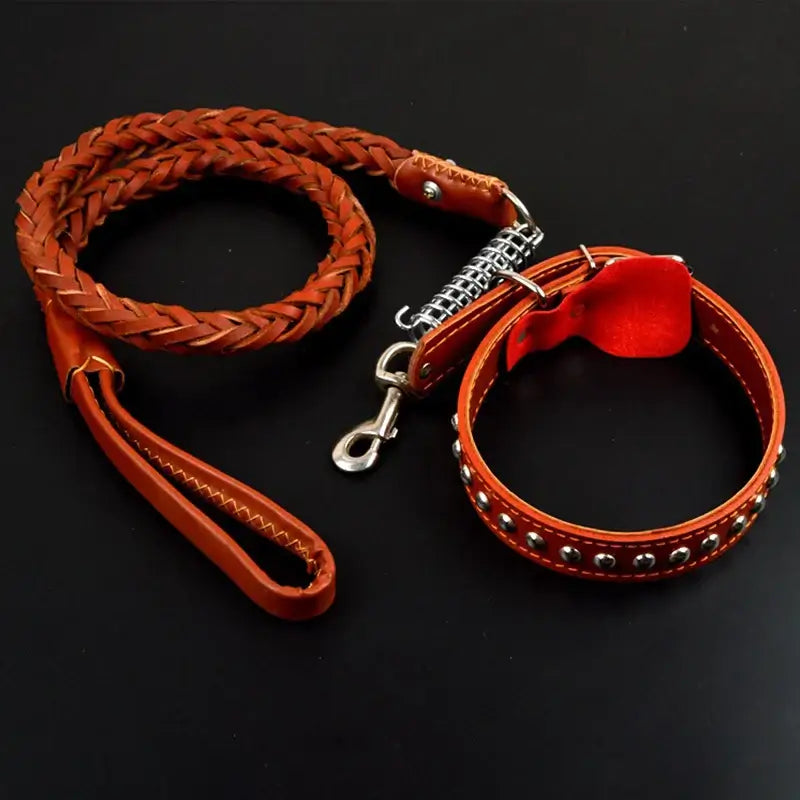 NevoMart Leather Dog Collar & Leash for Large Dogs