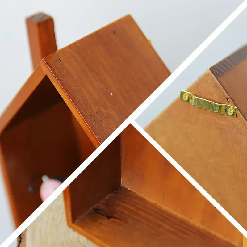 NevoMart House Shaped Wall Shelf for Home Decor