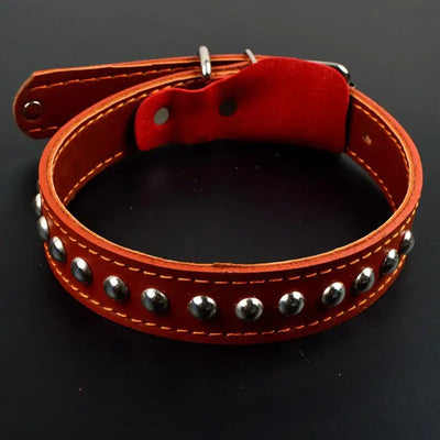NevoMart Leather Dog Collar & Leash for Large Dogs