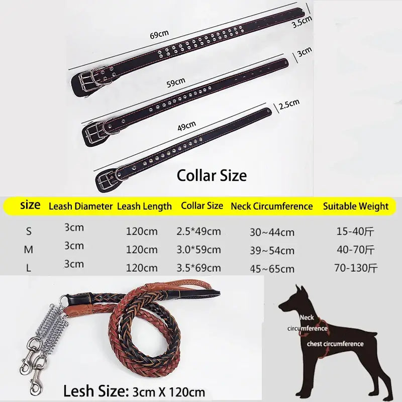 NevoMart Leather Dog Collar & Leash for Large Dogs