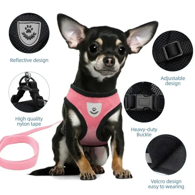 Breathable Puppy Walking Vest Harness – NevoMart