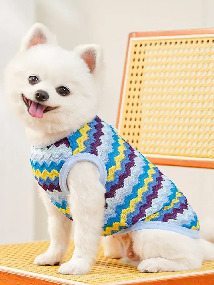 NevoMart Dog T-shirt Style Recovery Clothing