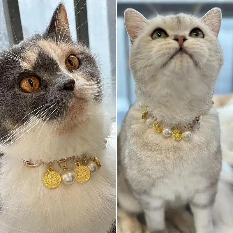 NevoMart Luxury Pearl Dog Collar with Rhinestones