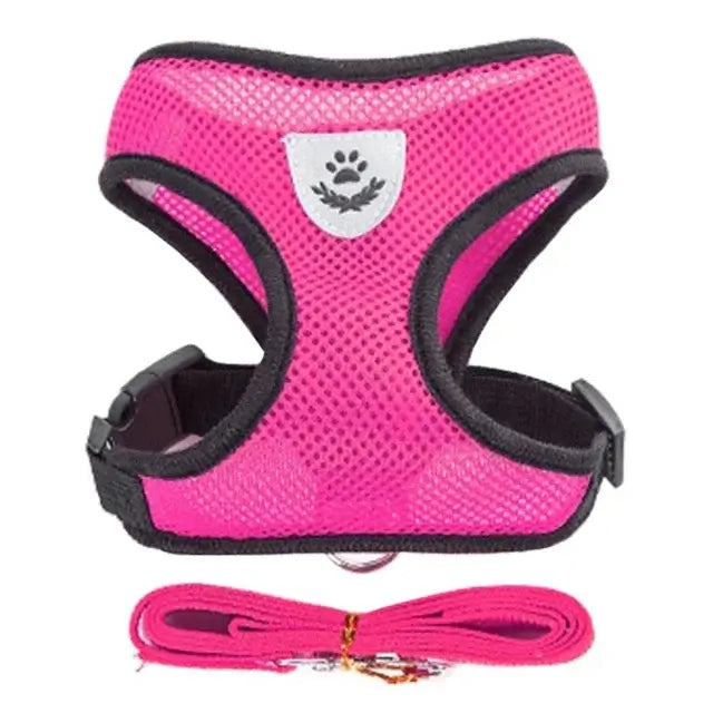 Breathable Puppy Walking Vest Harness – NevoMart