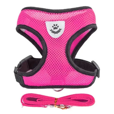 Breathable Puppy Walking Vest Harness – NevoMart