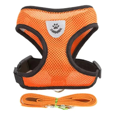 Breathable Puppy Walking Vest Harness – NevoMart