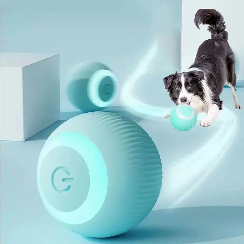 NevoMart 2025 Electric Smart Puppy Ball Toy Auto Rolling for Cats and Dogs