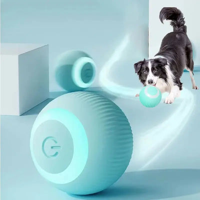 NevoMart 2025 Electric Smart Puppy Ball Toy Auto Rolling for Cats and Dogs