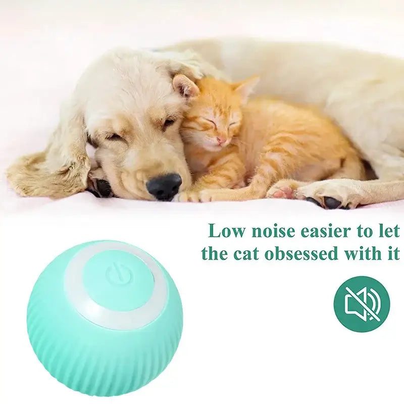 NevoMart 2025 Electric Smart Puppy Ball Toy Auto Rolling for Cats and Dogs