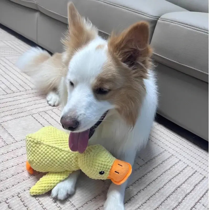 NevoMart Durable Dog Toy for Puppies and Small Dogs