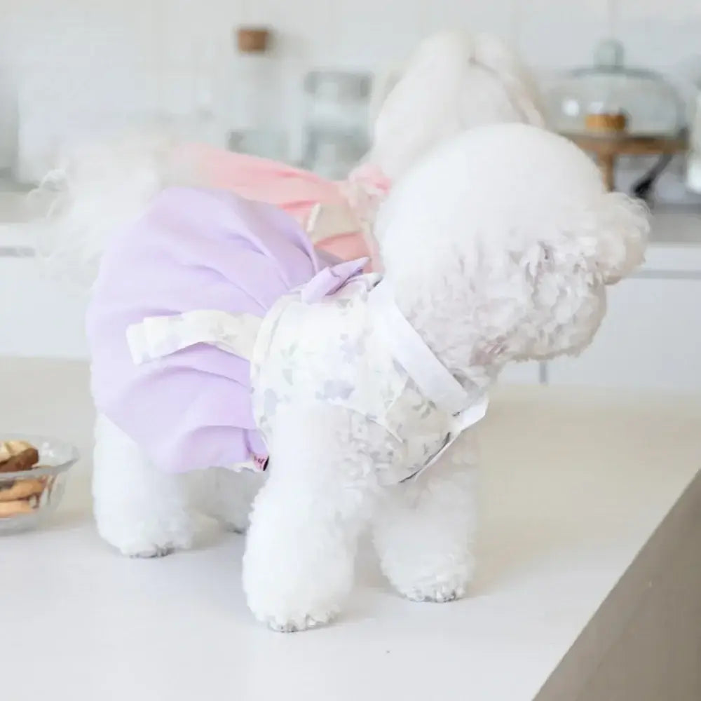 NevoMart Designer Pet Dresses Clothing for Small Dogs and Cats