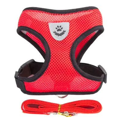 Breathable Puppy Walking Vest Harness – NevoMart