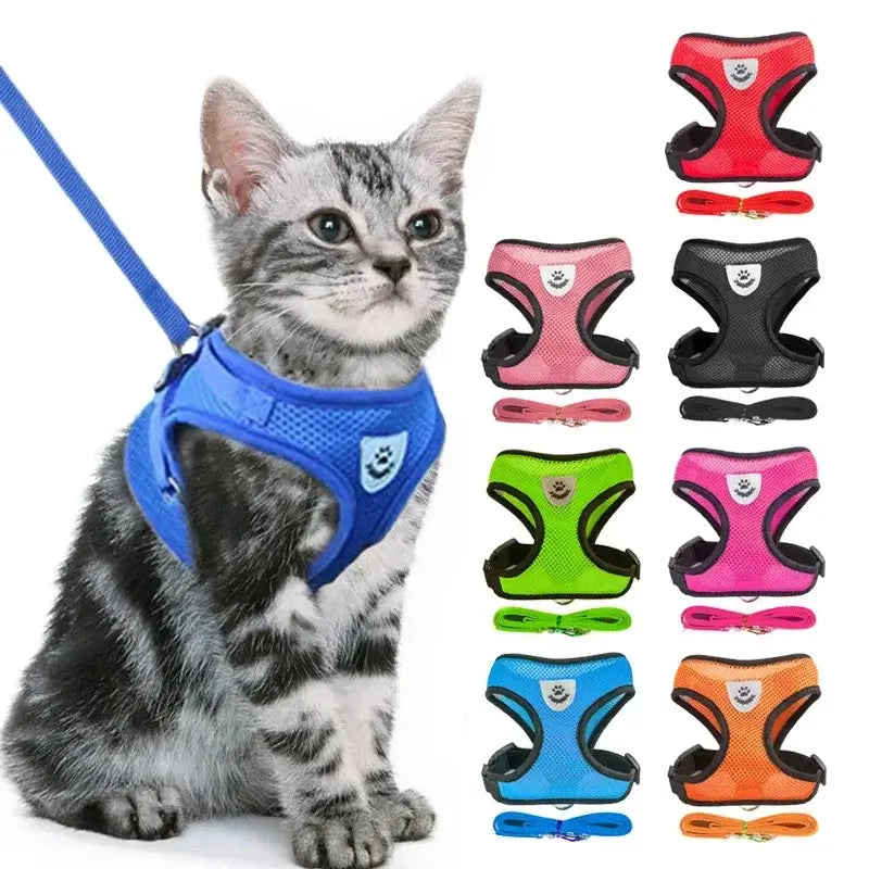 Breathable Puppy Walking Vest Harness – NevoMart