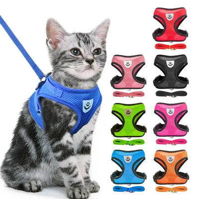 Breathable Puppy Walking Vest Harness – NevoMart