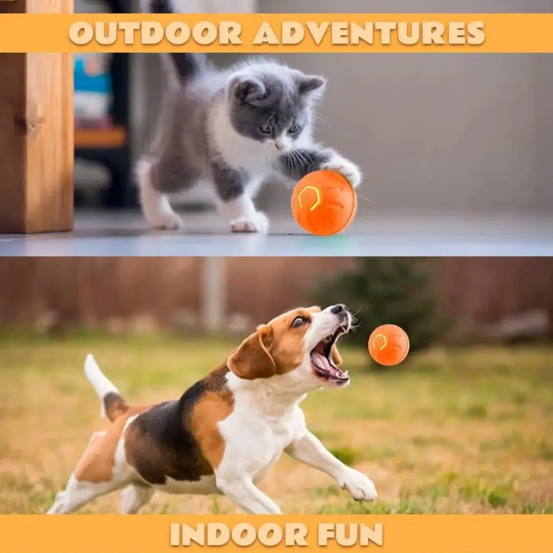 NevoMart Smart Bouncing Electric Pet Ball Toy for Dogs and Cats