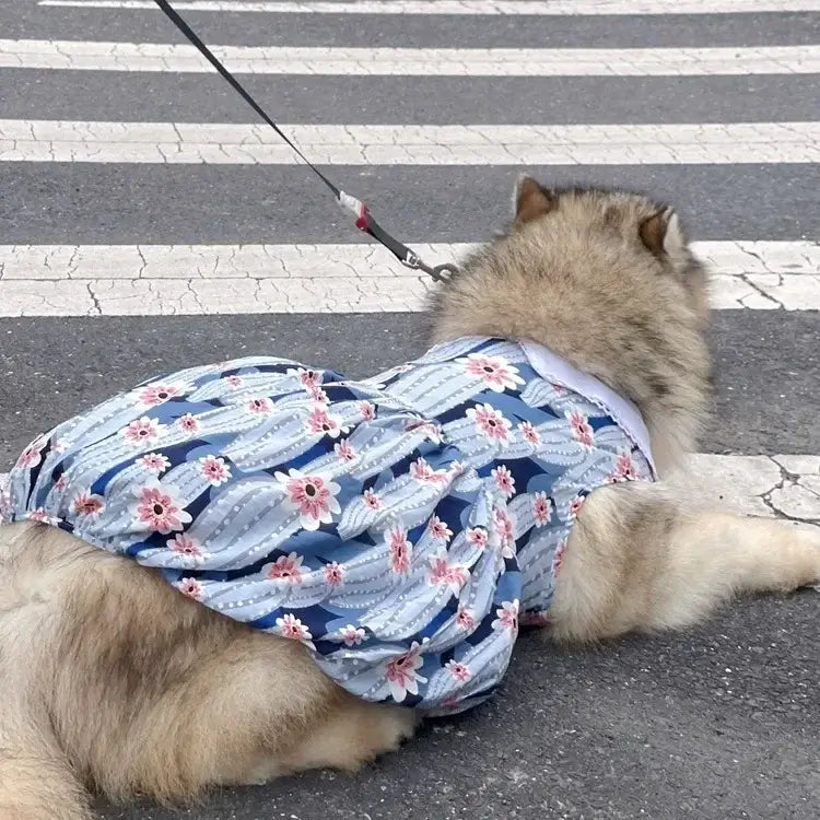 Breathable Pet Clothing for Golden Retriever – NevoMart