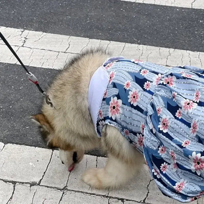 Breathable Pet Clothing for Golden Retriever – NevoMart