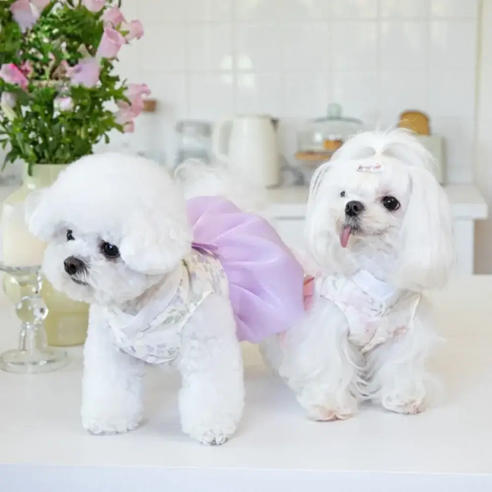 NevoMart Designer Pet Dresses Clothing for Small Dogs and Cats