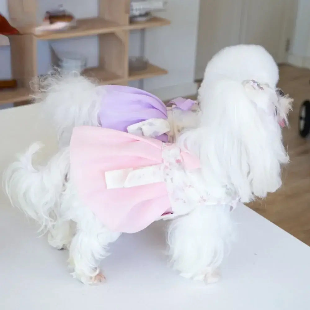 NevoMart Designer Pet Dresses Clothing for Small Dogs and Cats