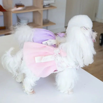 NevoMart Designer Pet Dresses Clothing for Small Dogs and Cats