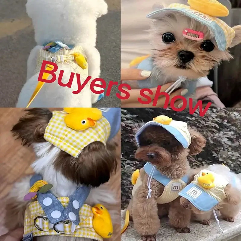 NevoMart Puppy Harness & Leash for Small Dogs