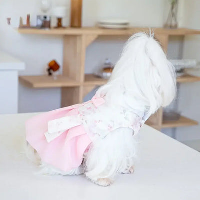 NevoMart Designer Pet Dresses Clothing for Small Dogs and Cats