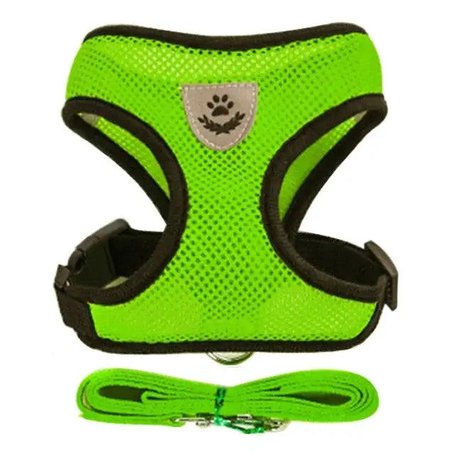 Breathable Puppy Walking Vest Harness – NevoMart