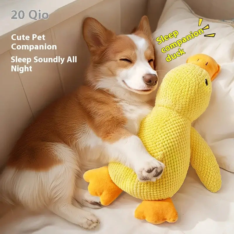 NevoMart Durable Dog Toy for Puppies and Small Dogs