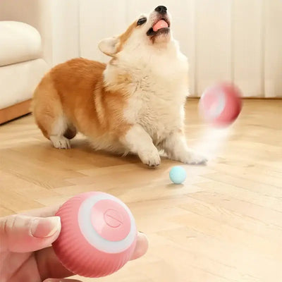 NevoMart 2025 Electric Smart Puppy Ball Toy Auto Rolling for Cats and Dogs