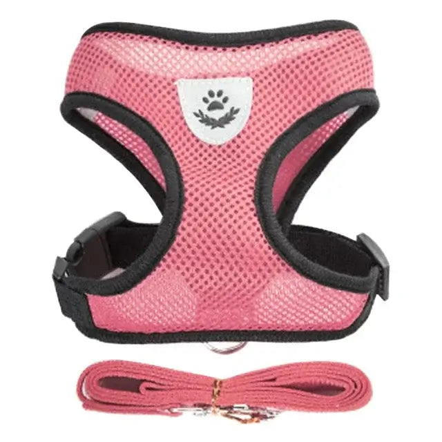 Breathable Puppy Walking Vest Harness – NevoMart