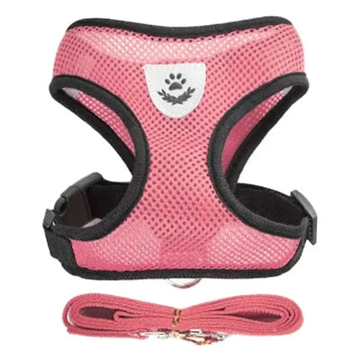 Breathable Puppy Walking Vest Harness – NevoMart